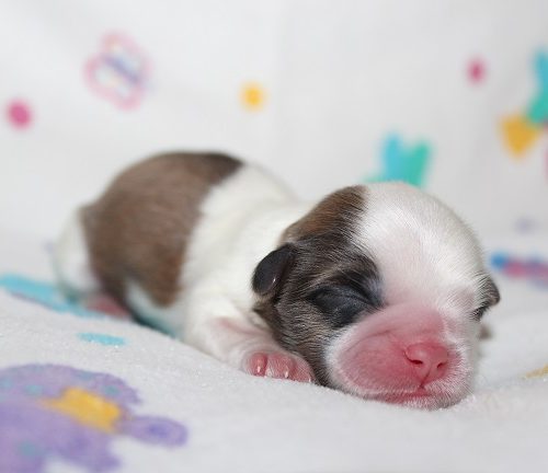 Male #1
