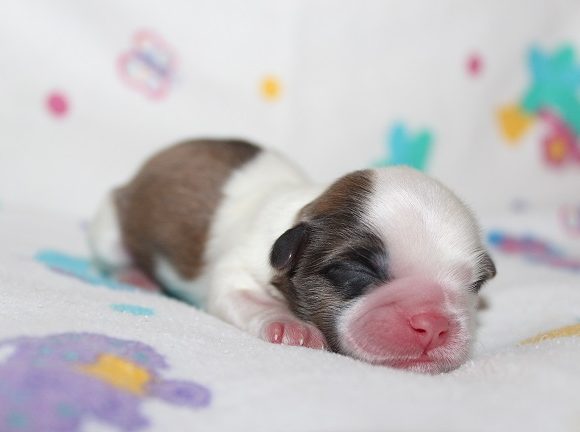 Male #1
