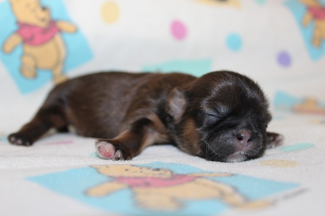 Male #1