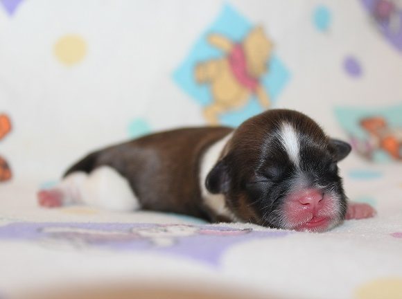 Female #2