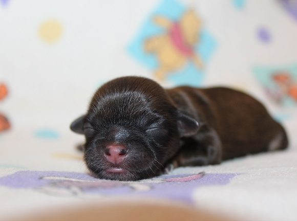 Female #3