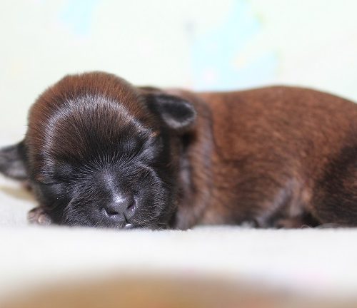 Female #3 Available