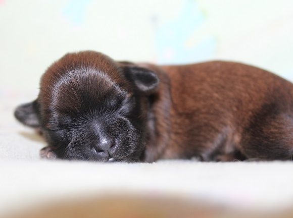 Female #3 Available